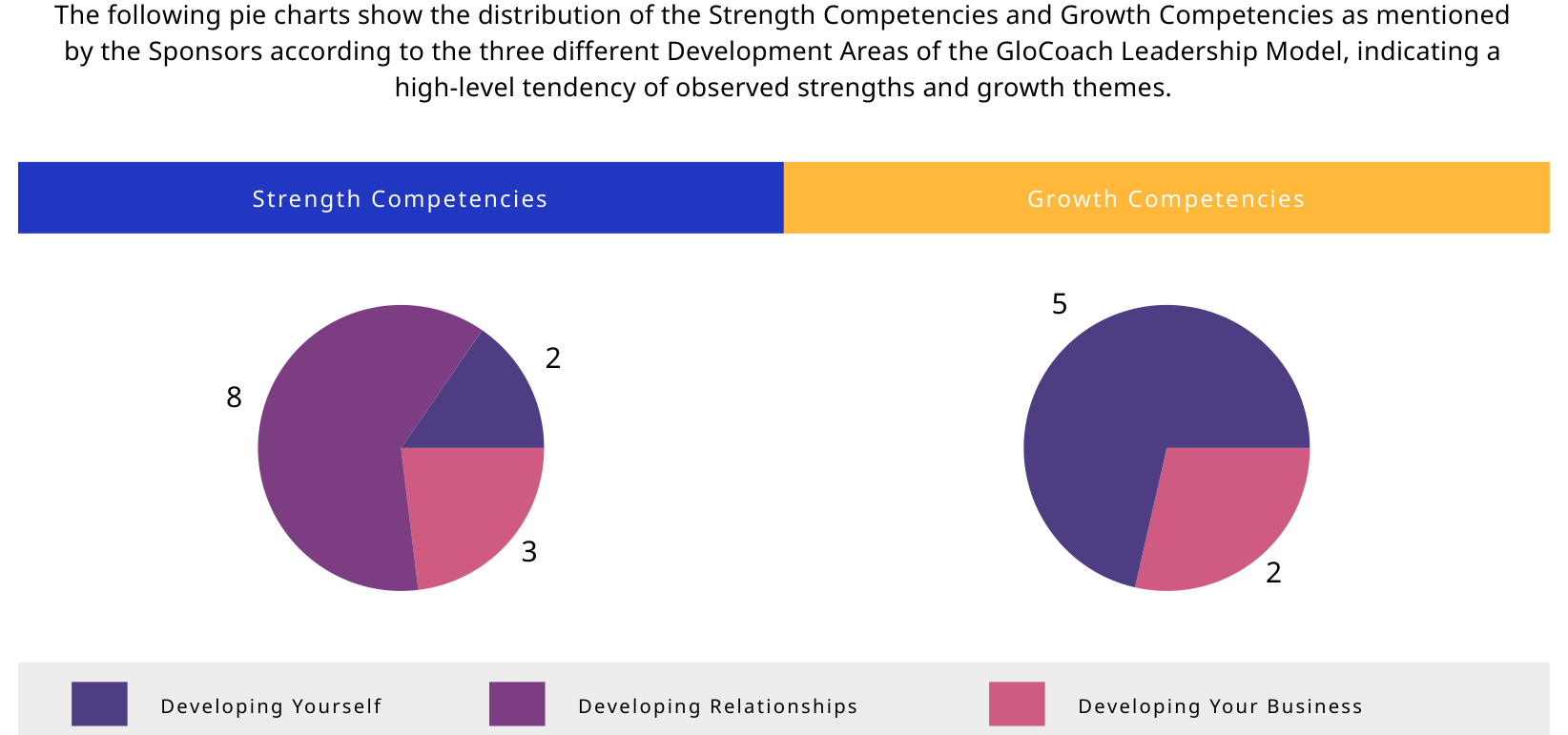 Sample pie charts from John Doe OBA report showing distribution of competencies across three Development Areas